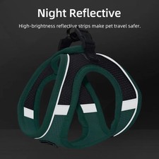 Hundegeschirr kleine Hunde