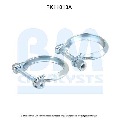 Catalysts fk11013 - bm,