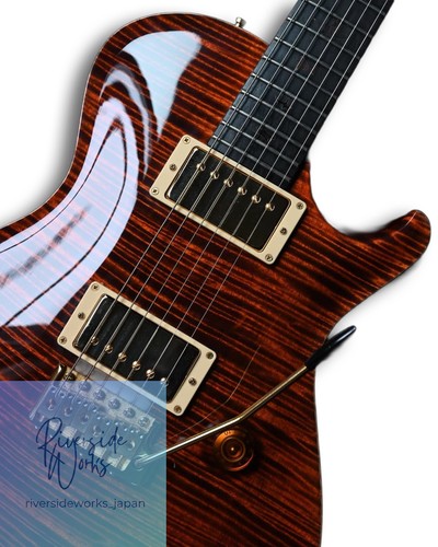 Knaggs prs private stock - private, sc