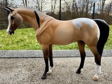 Peter stone pferd arabian mare - peter,