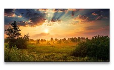 120x60cm Leinwandbild Natur