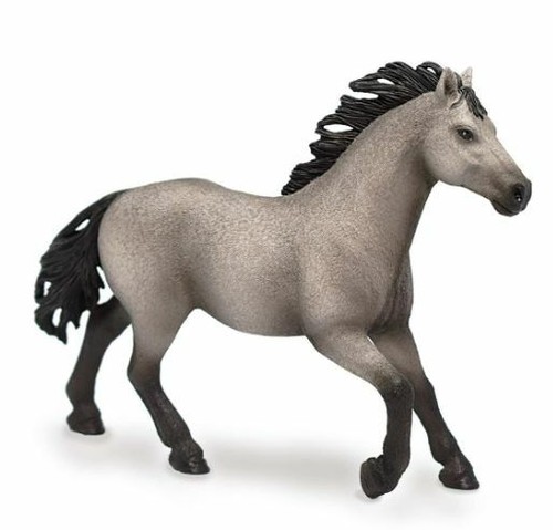 72143 pferd quarter horse - quarter,