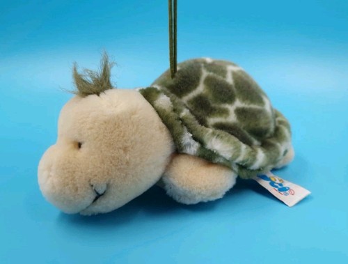 Nici schildkröte mit - nici,