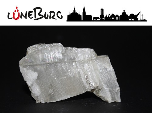 Gipskristall aus lüneburg - lüneburg, /