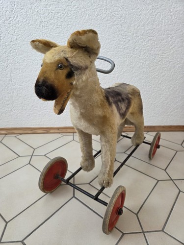 Alter steiff hund arco - steiff,