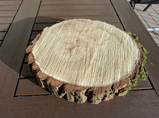 DEKO Baumscheibe AKAZIE 30 cm