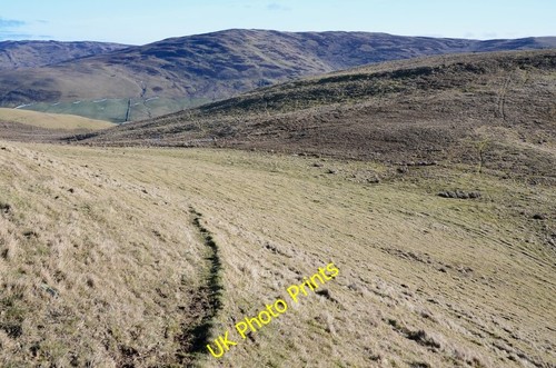 Foto 6x4 col below peat - 6x4,