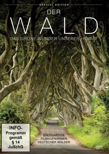 Der wald das grüne - wald,