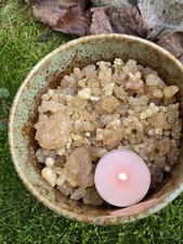 Weihrauchharz der Art