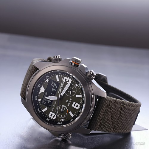 Citizen promaster land eco - promaster,