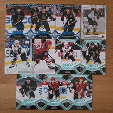 Trading Card Lot Sammelkarten
