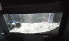 Aquarium 112 l mit Unterschrank