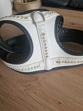 Geschirr mit Strass und Leine Set