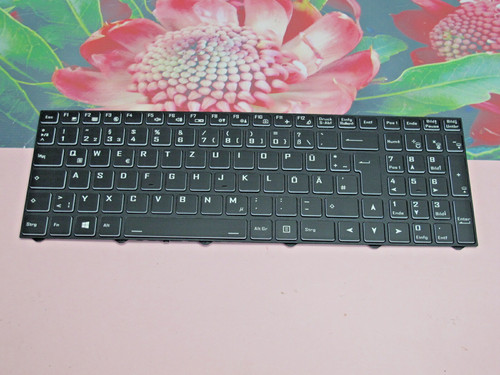 Original tastatur clevo - original,