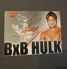 Wrestling Autogramm BXB HULK /
