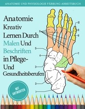 Anatomie kreativ lernen durch