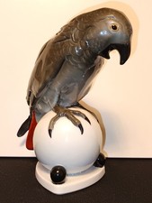 Hutschenreuther - Graupapagei