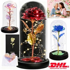 LED Ewige Rose im Glas für