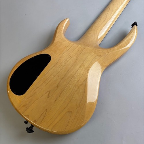 Carvin lb76 string - carvin,