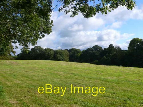 Foto 6x4 kürzlich gemähtes - foto,
