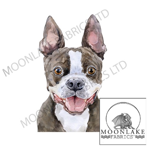 Boston terrier stoff - boston, wc