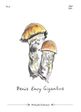 Pe Gigantus Sammelkarte