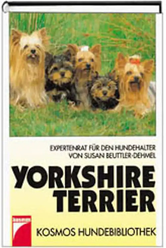 Yorkshireterrier expertenrat - yorkshireterrier.,