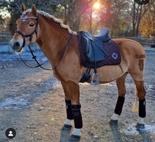 Waldhausen Bandagen Kastanie Braun WB  Schabracke Set wie Eskadron Dressur Dl