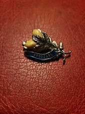 Anstecknadel Hutnadel Wandernadel Brosche Grossarl