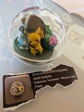 Pokémon Terrarium - Pikachu und Froxy