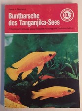 Buntbarsche des
