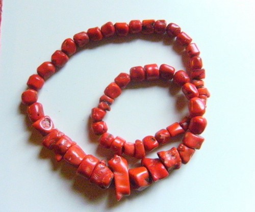 Rote korallenkette korallen - rote,