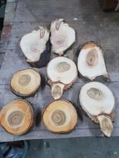 8 Baumscheibe Drechselholz