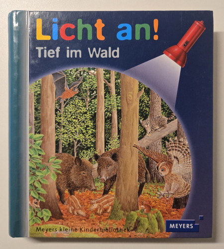 Licht tief wald - licht,