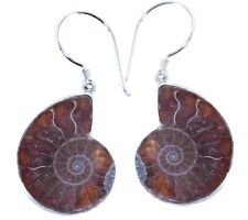 Nautilusmuschel AMMONIT