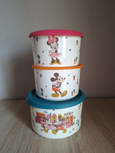 Tupperware mickey und minnie - tupperware,