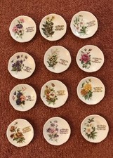 Vintage Bona China Mini Zierteller Sammlung 12 Monate