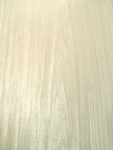 Ahorn furnier mit vlies - ahorn,