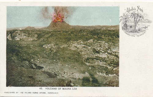 32883 pk hawaii - nr.32883,
