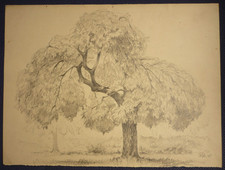 Monogramm "OK 45" Kokoschka? Kunstwerk Bild Gemälde Original Bleistift signiert