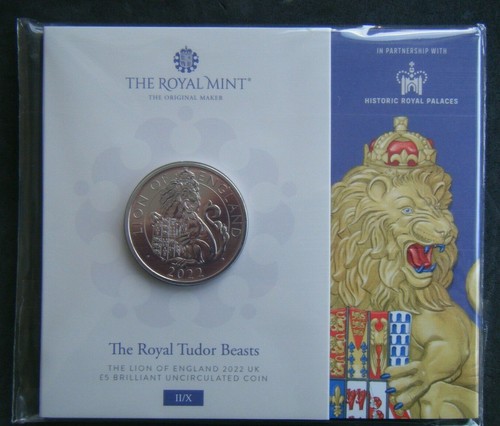 2022 lion england tudor - 2022,