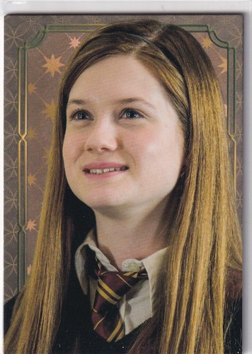 Panini harry potter evolution - potter,