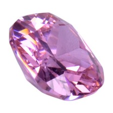 Exquisite Rosa Saphir Lose