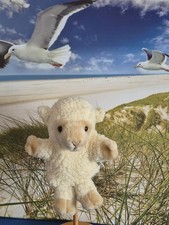 Handpuppe Schaf - vermutlich