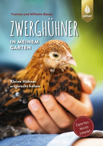 Zwerghühner meinem garten - zwerghühner, in