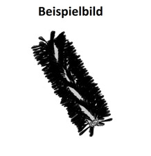 Stolzenberg Kehrwalze