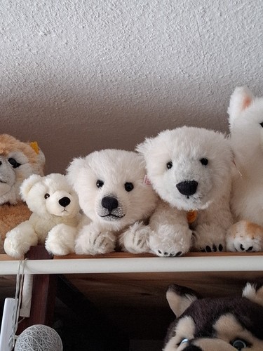 Steiff masterpiece knut und - steiff,
