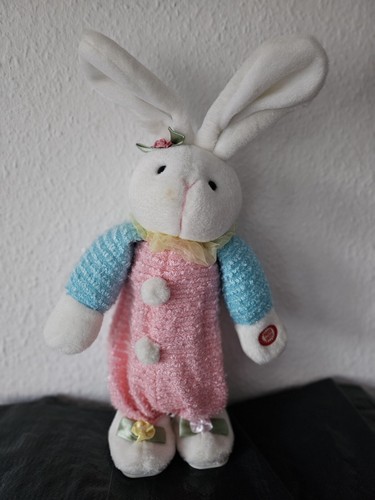 Singender hase - singender,