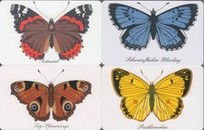 4 TK Schmetterlinge