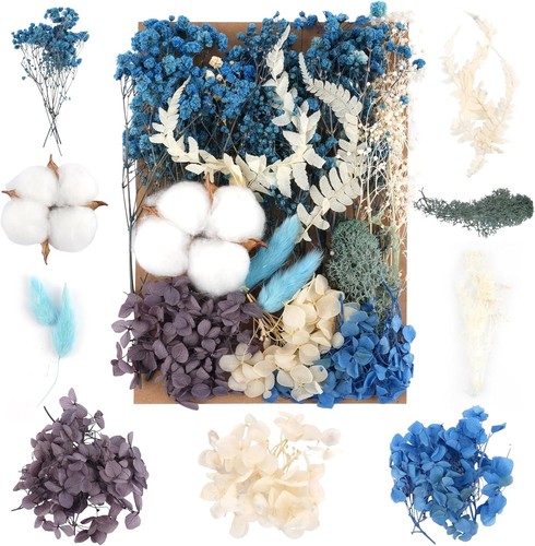 Kreative diy trockenblumen - kreative,